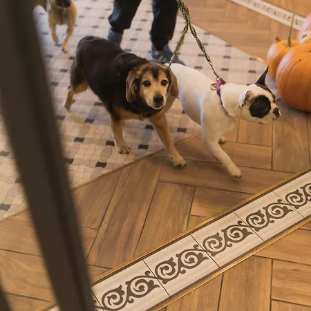 Herkules - Adults Only 3* Świnoujście