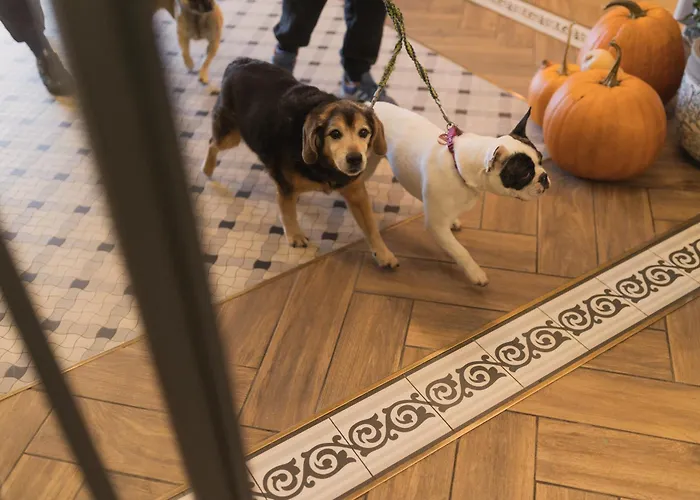 Villa Herkules (Adults Only) 3* Swinemünde